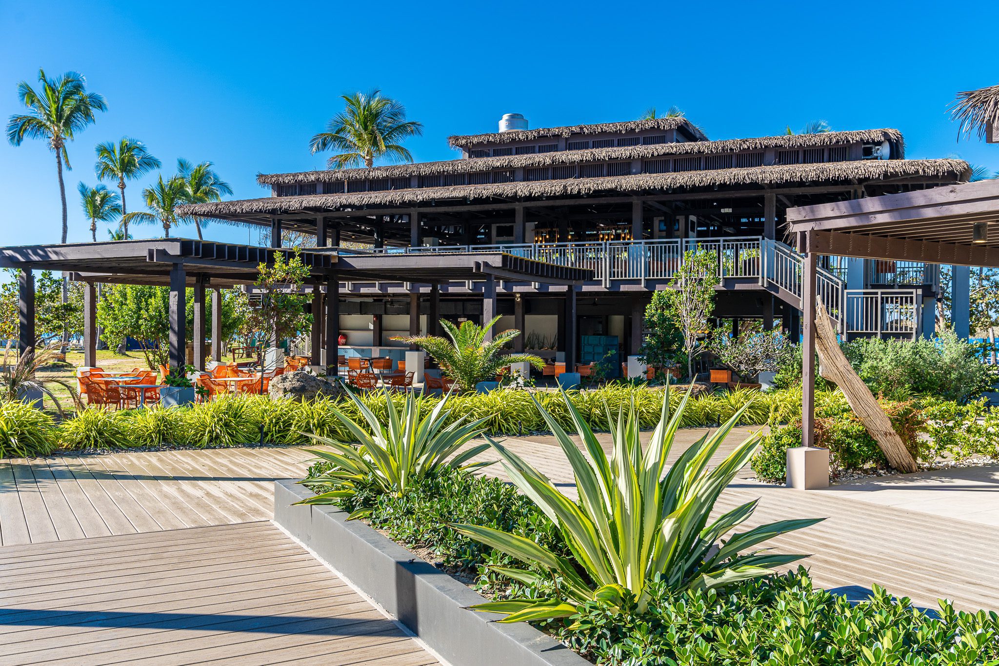 Modern building with wooden accents and tropical landscaping under a clear blue sky.